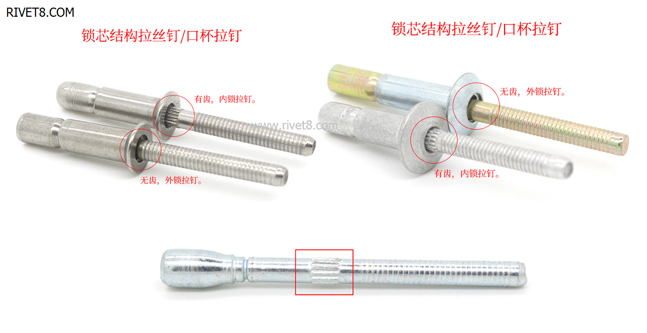 口杯型香蕉视频APP导航下载